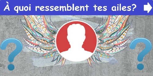 À quoi ressemblent tes ailes?