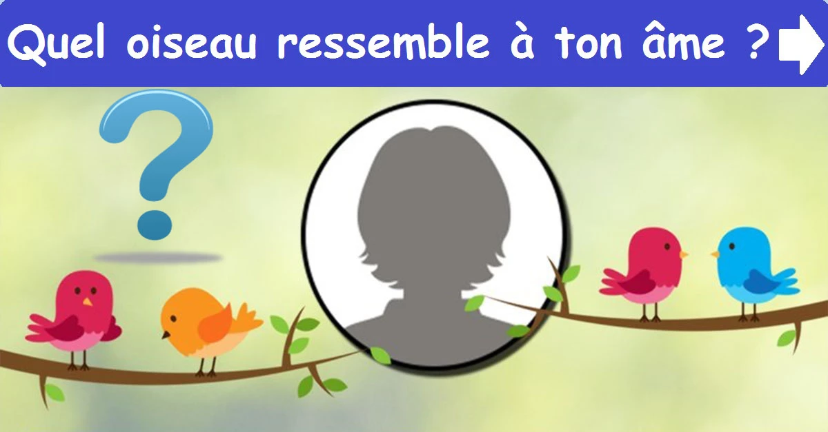 Quel oiseau ressemble à ton âme ?