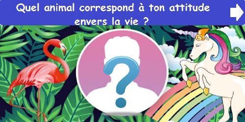 Quel animal correspond à ton attitude envers la vie ?