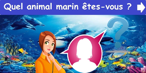 Quel animal marin êtes-vous ?