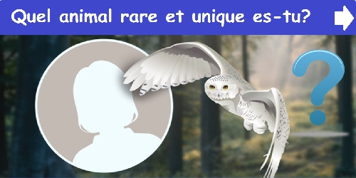 Quel animal rare et unique es-tu?