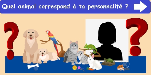 Quel animal correspond à ta personnalité ?