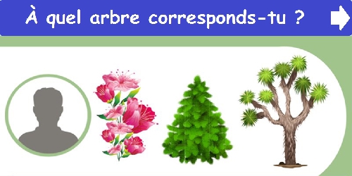 À quel arbre corresponds-tu ?