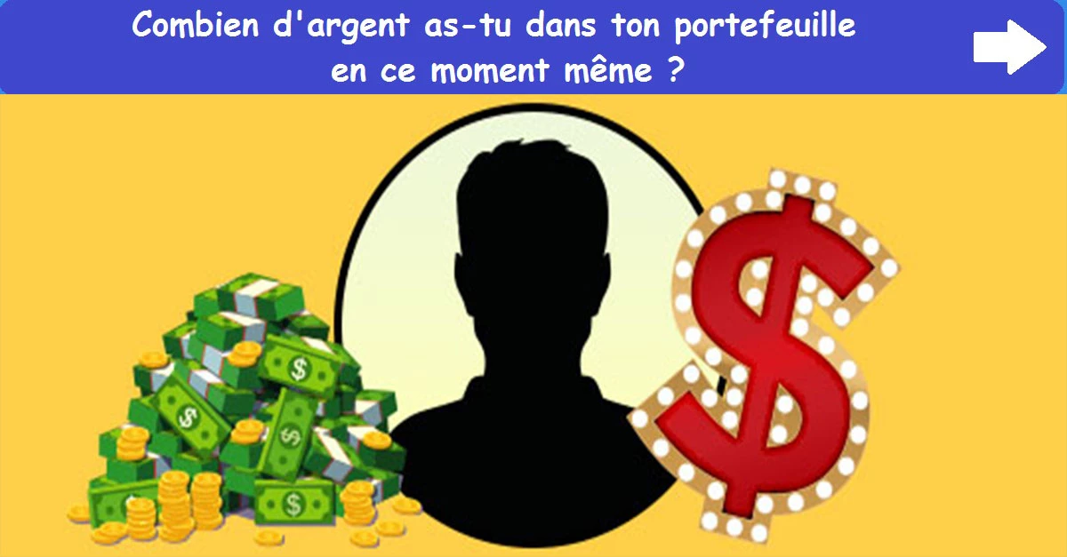 Combien d'argent as-tu dans ton portefeuille en ce moment même ?