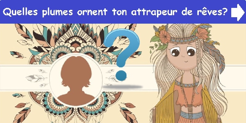 Quelles plumes ornent ton attrapeur de rêves?