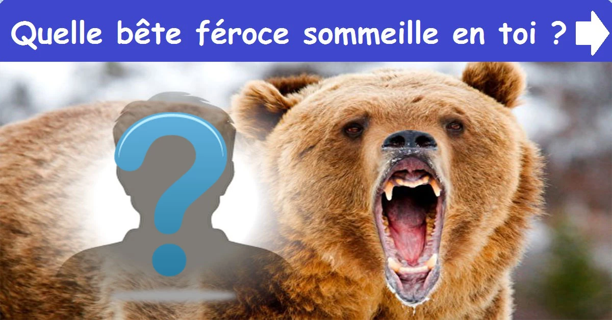 Quelle bête féroce sommeille en toi ?