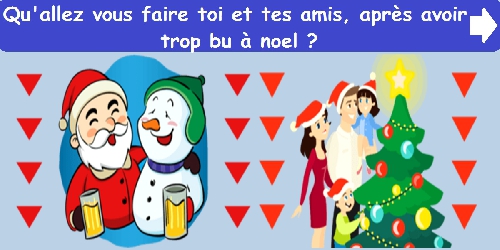 Qu'allez vous faire toi et tes amis, après avoir trop bu à noel ?