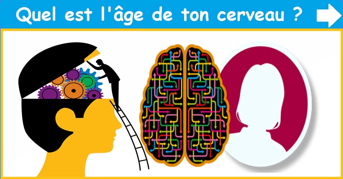 Quel est l'âge de ton cerveau ?