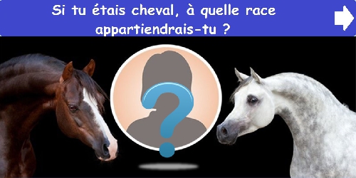 Si tu étais cheval, à quelle race appartiendrais-tu ?