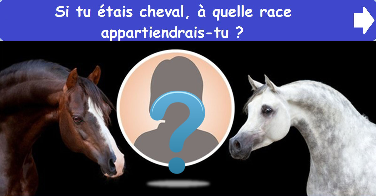 Si tu étais cheval, à quelle race appartiendrais-tu ?