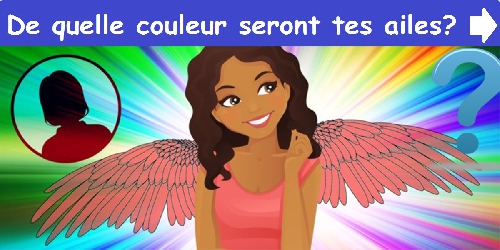 De quelle couleur seront tes ailes?