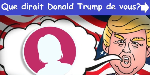 Que dirait Donald Trump de vous?