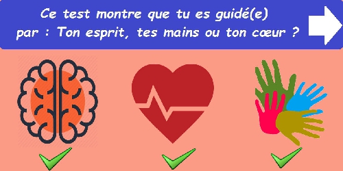 Ce test montre que tu es guidé(e) par : Ton esprit, tes mains ou ton cœur ?