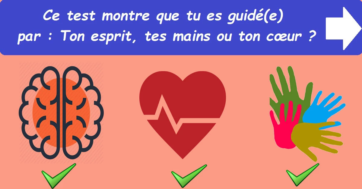 Ce test montre que tu es guidé(e) par : Ton esprit, tes mains ou ton cœur ?