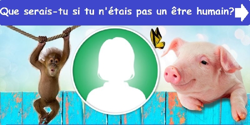 Que serais-tu si tu n'étais pas un être humain ?