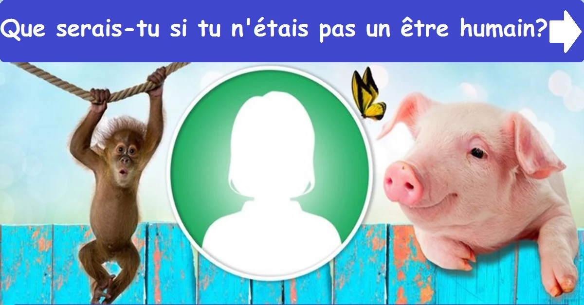 Que serais-tu si tu n'étais pas un être humain ?