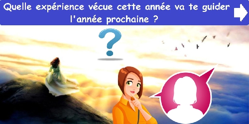 Quelle expérience vécue cette année va te guider l'année prochaine ?