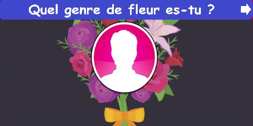 Quel genre de fleur es-tu ?