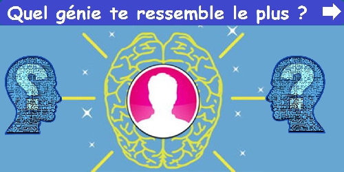 Quel génie te ressemble le plus ?