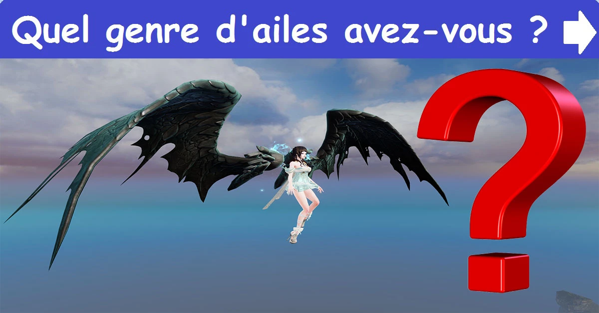 Quel genre d'ailes avez-vous ?