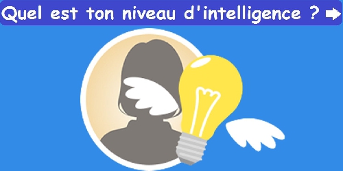 Quel est ton niveau d'intelligence ?