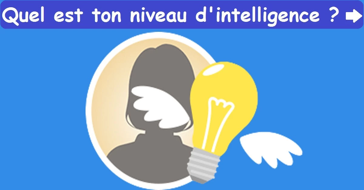 Quel est ton niveau d'intelligence ?