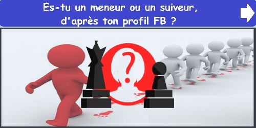 Es-tu un meneur ou un suiveur, d'après ton profil FB ?