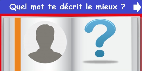 Quel mot te décrit le mieux ?