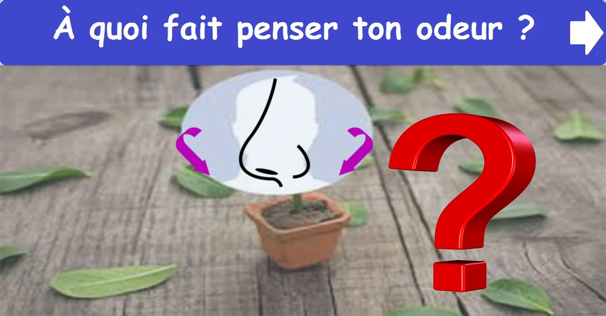 À quoi fait penser ton odeur ?