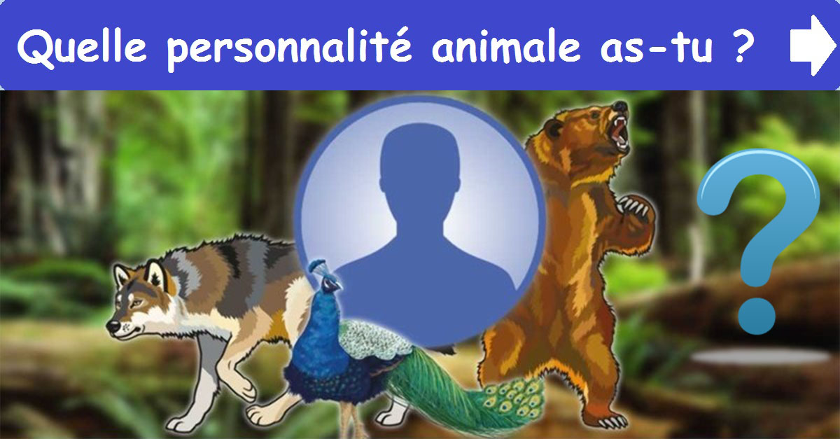 Quelle personnalité animale as-tu ?