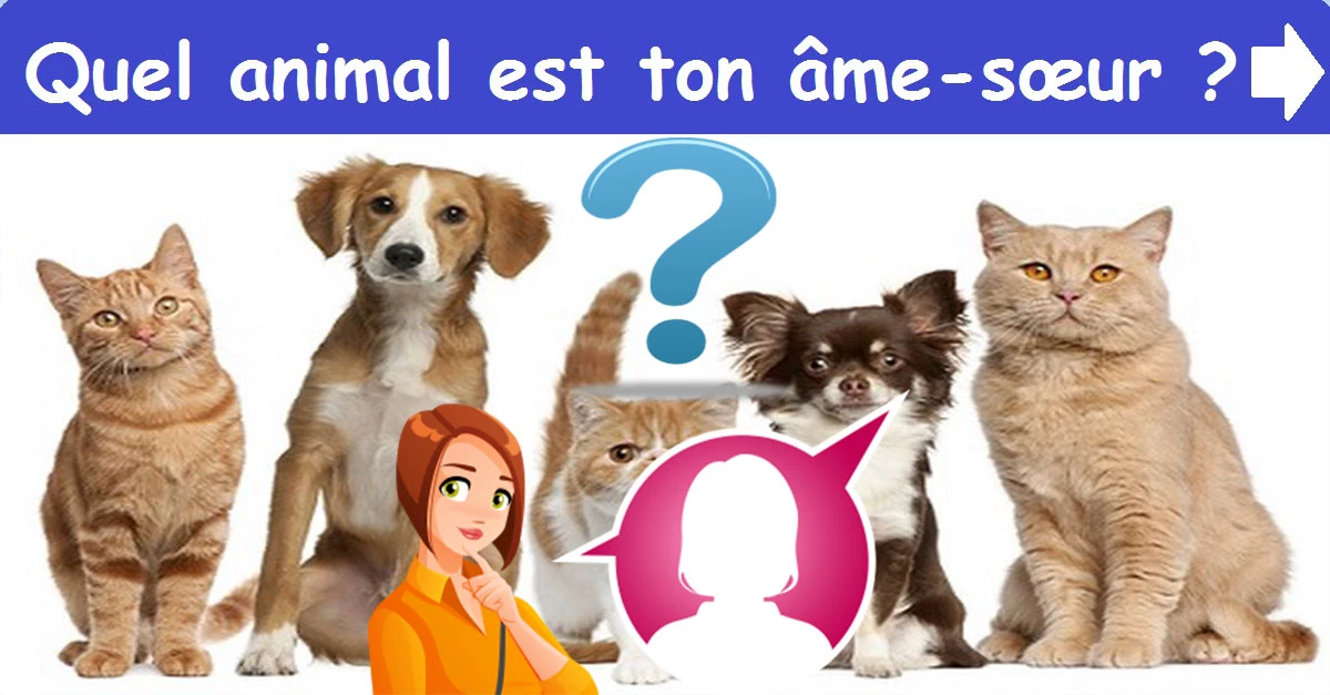 Quel animal est ton âme-sœur ?