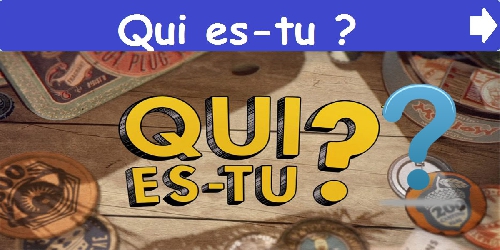 Qui es-tu ?