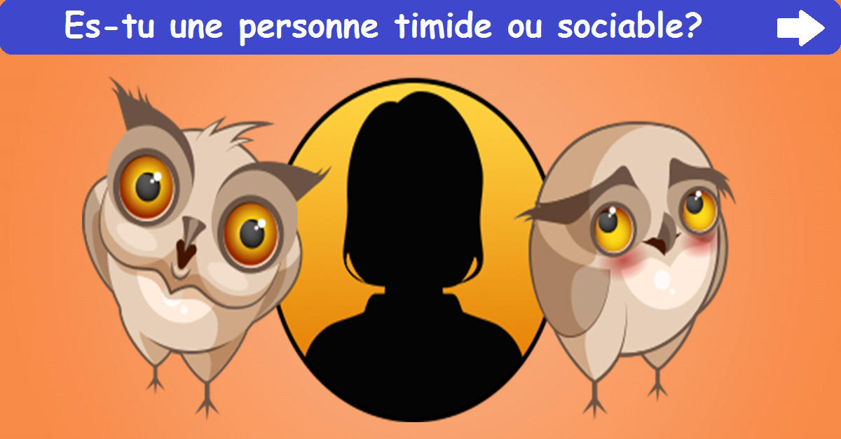 Timidee Es-tu une personne timide ou sociable?