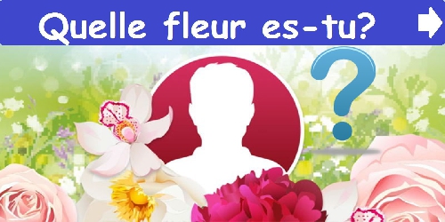 Quelle fleur es-tu?