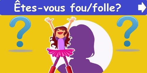 Êtes-vous fou/folle?