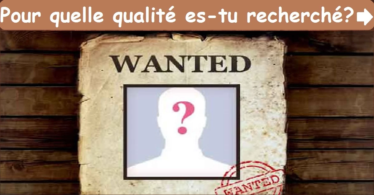 Pour quelle qualité es-tu recherché?